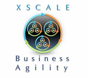 XScale Alliance Agile20Reflect Festival