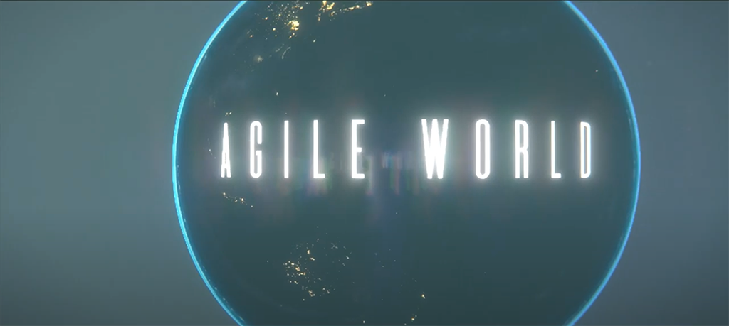 Agile World at Agile20Reflect Festival